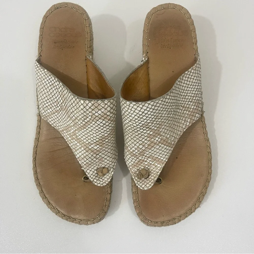 Andre Assous these have
